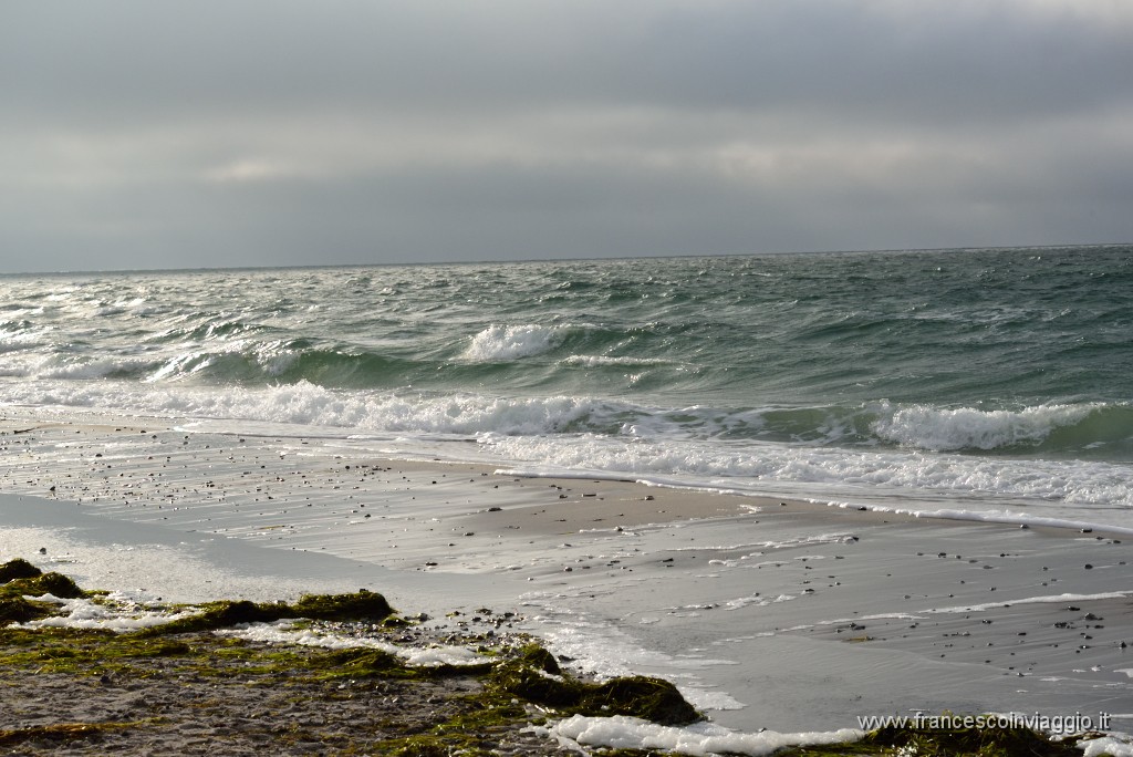 DSC_7874.JPG