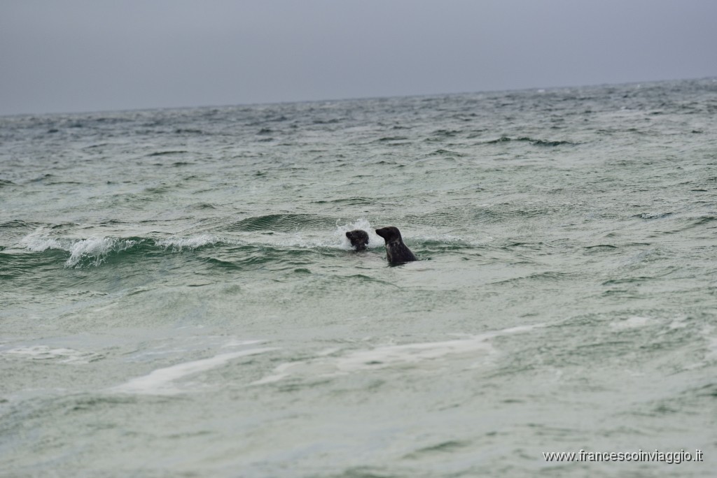 DSC_7878.JPG