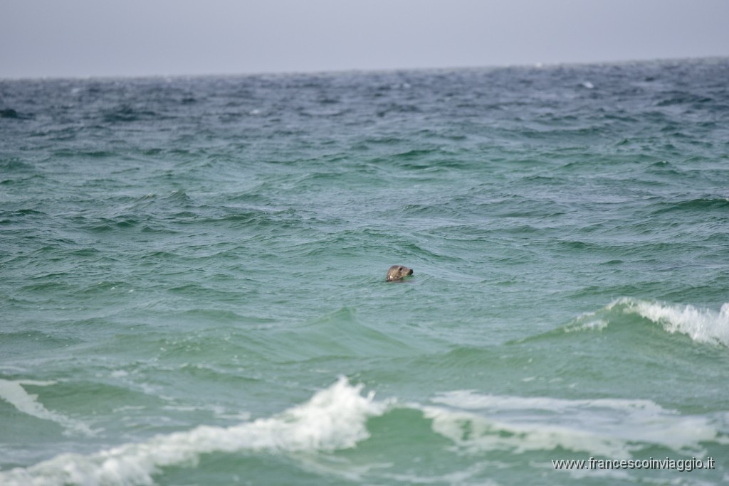 DSC_7885.JPG