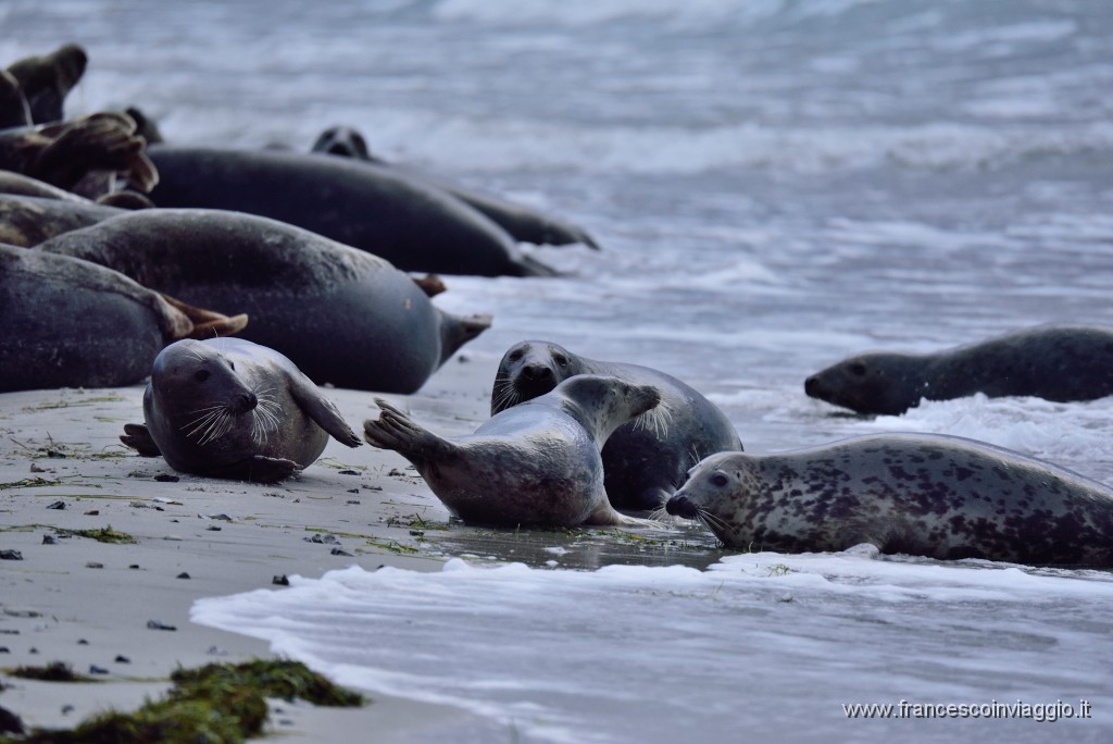 DSC_7926.JPG