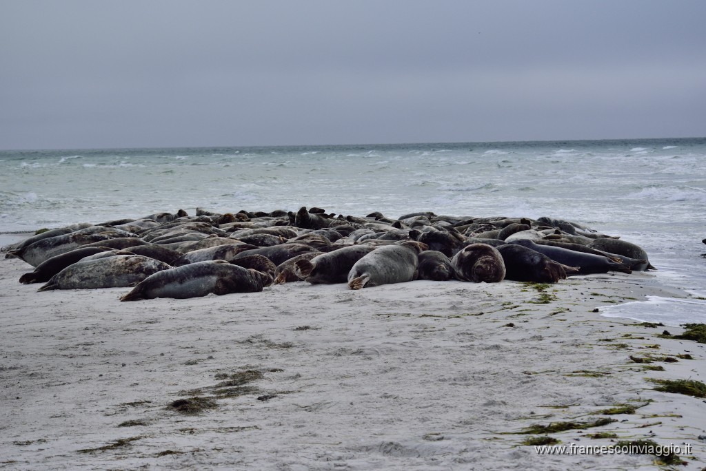 DSC_7969.JPG