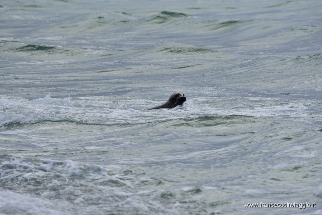 DSC_7971.JPG