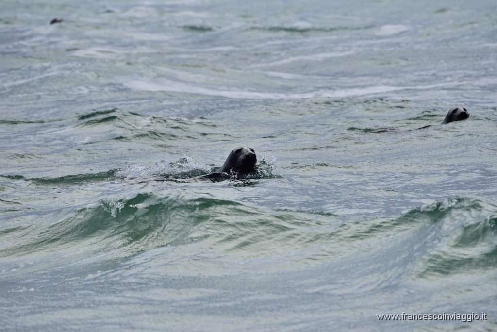 DSC_7975.JPG