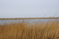 DSC_7843