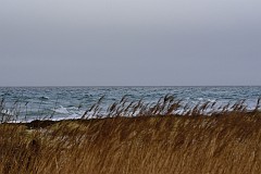DSC_7852