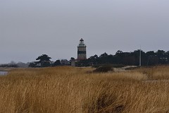 DSC_7853