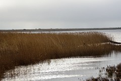 DSC_7855