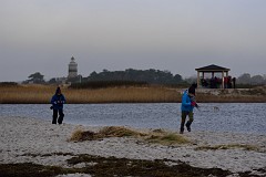 DSC_7868