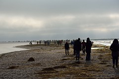 DSC_7871