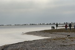 DSC_7873
