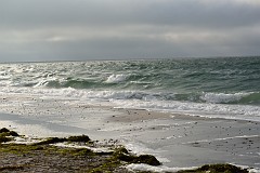 DSC_7874