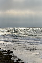 DSC_7881