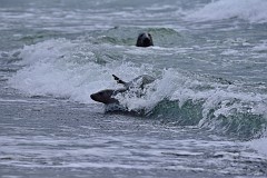 DSC_7914