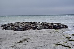 DSC_7969
