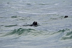 DSC_7975