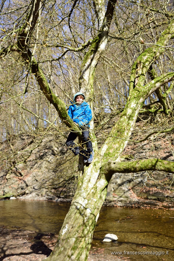 DSC_1529.JPG