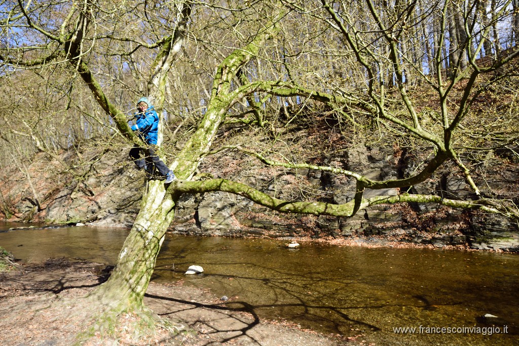 DSC_1531.JPG