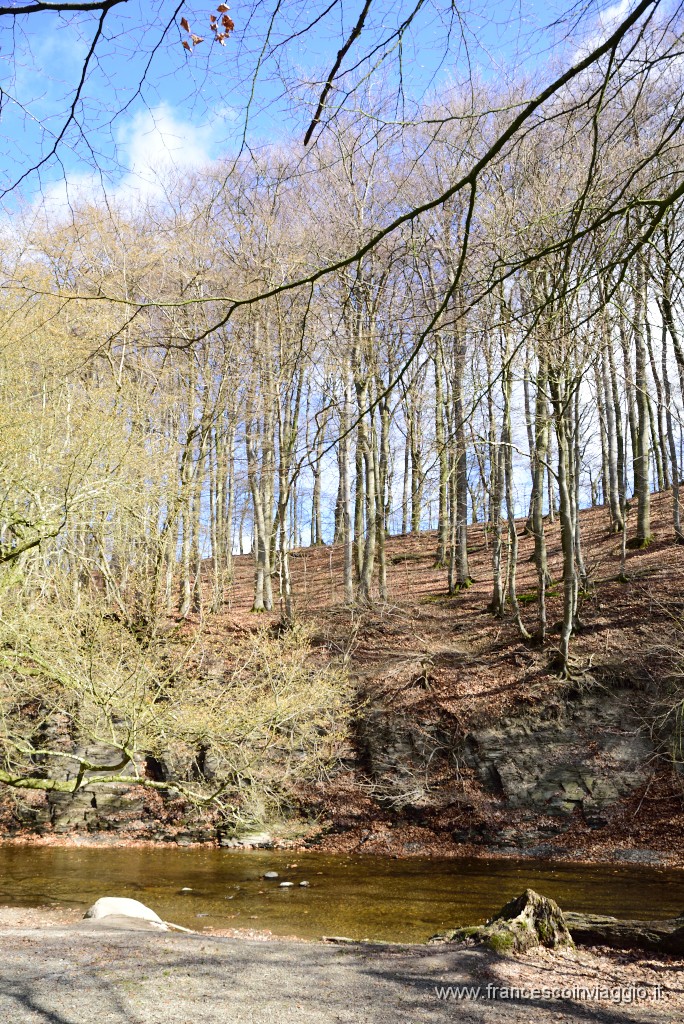 DSC_1534.JPG