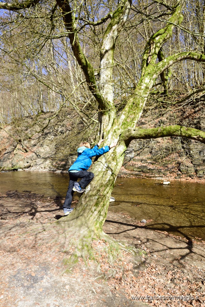 DSC_1562.JPG