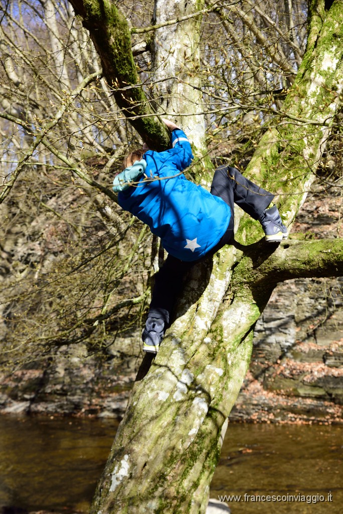 DSC_1576.JPG