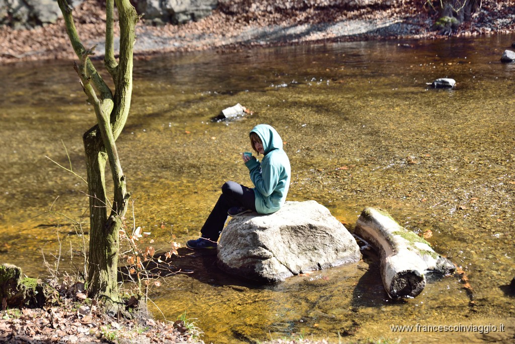 DSC_1618.JPG