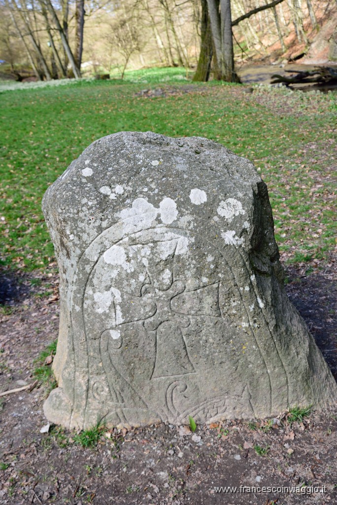 DSC_1652.JPG
