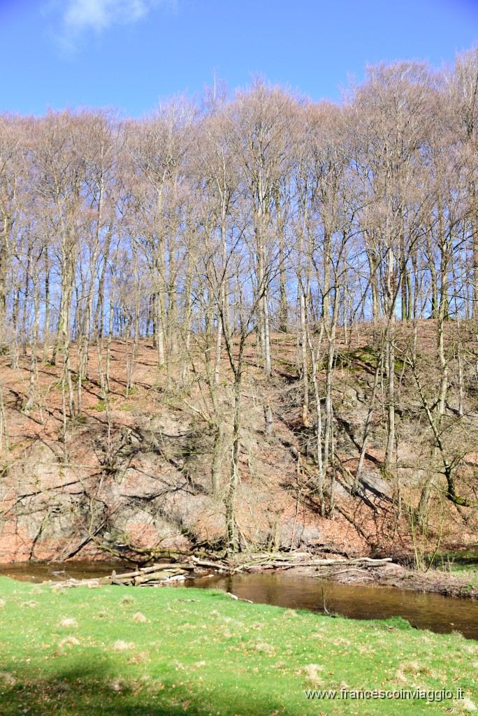 DSC_1672.JPG