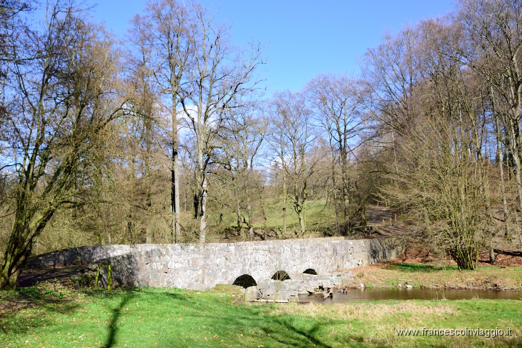DSC_1676.JPG