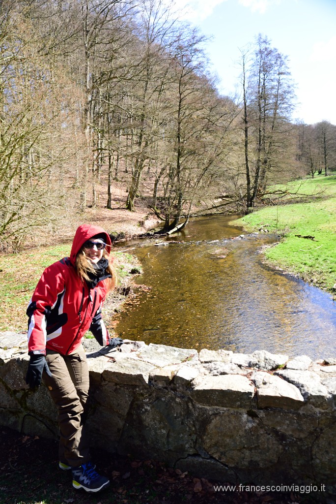 DSC_1687.JPG