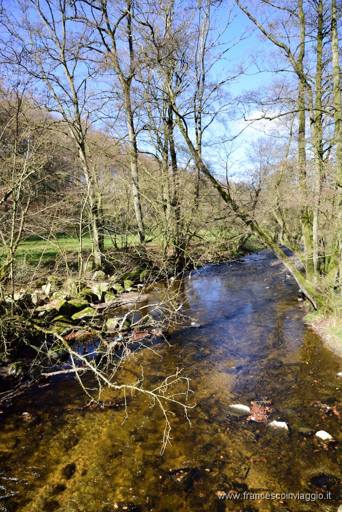 DSC_1689.JPG