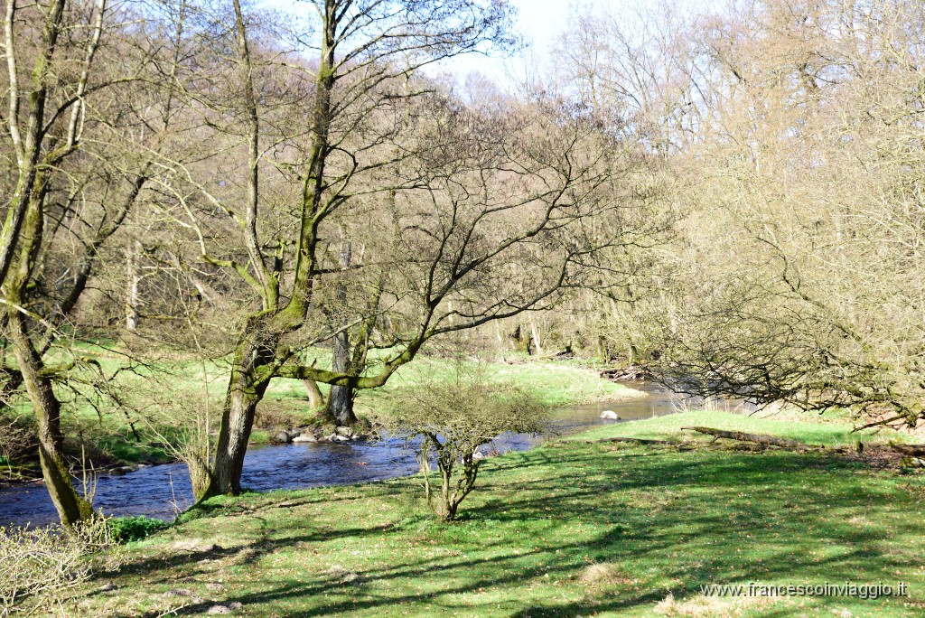 DSC_1698.JPG