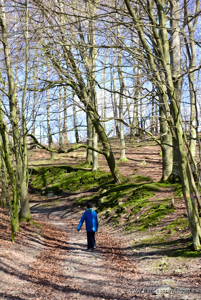 DSC_1703.JPG