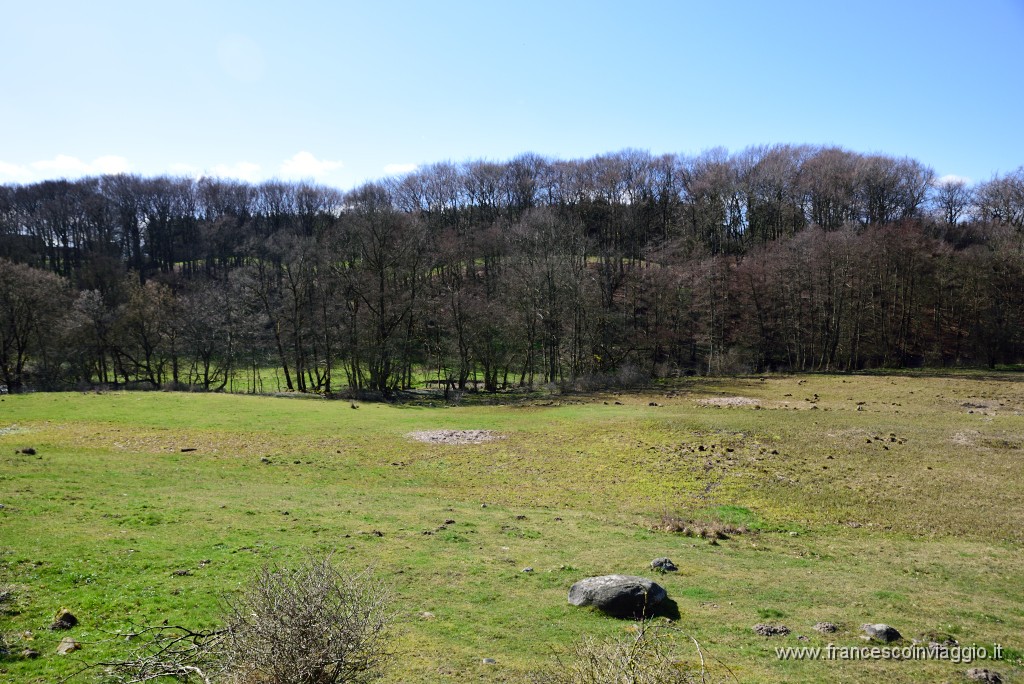 DSC_1704.JPG