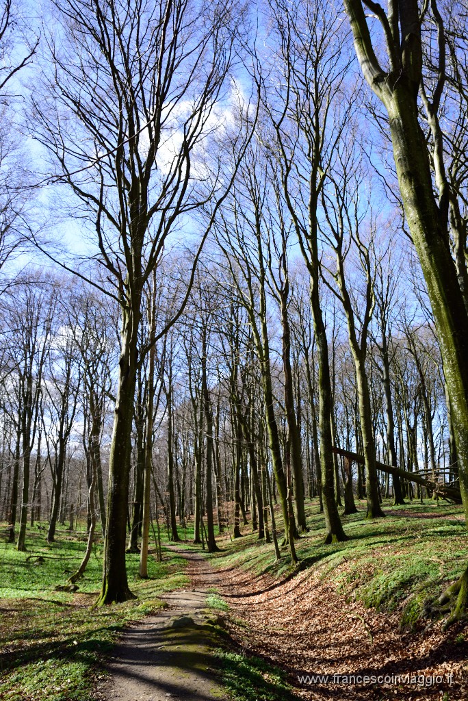 DSC_1779.JPG