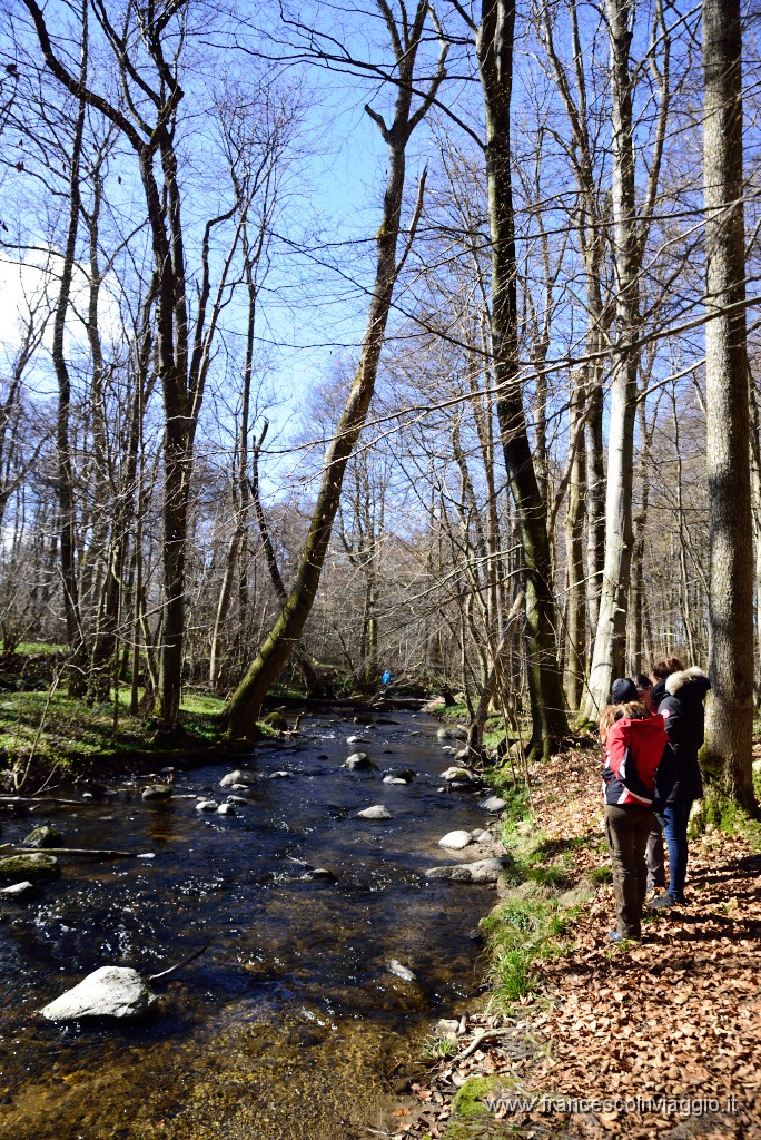 DSC_1793.JPG