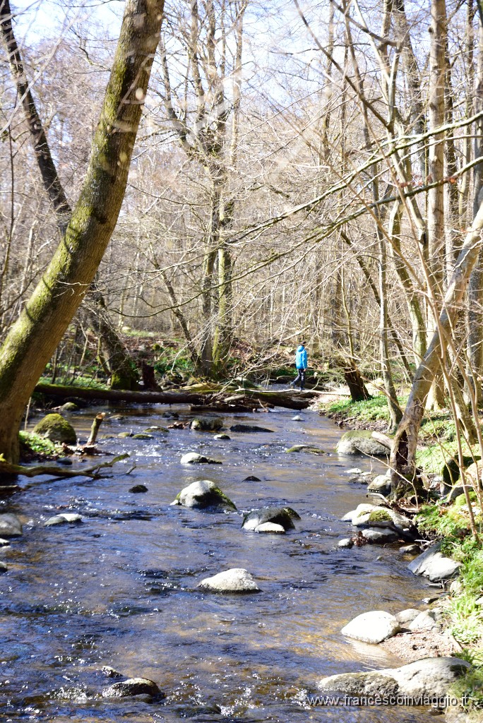 DSC_1795.JPG