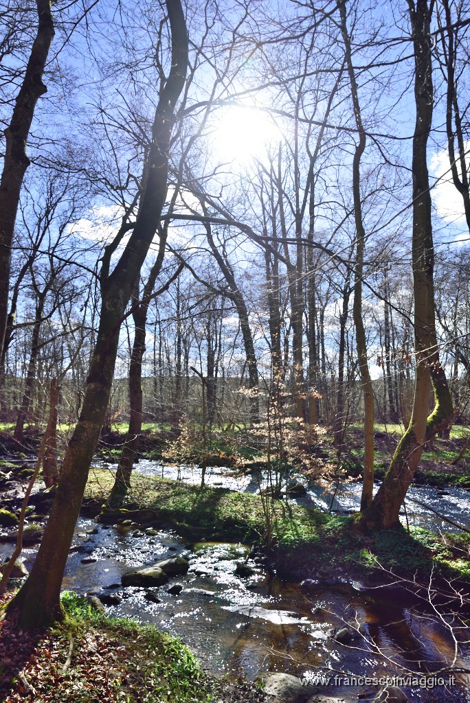 DSC_1807.JPG