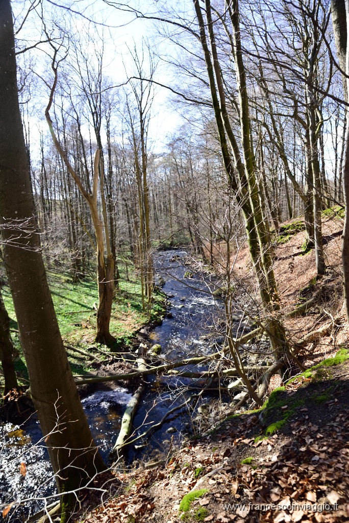 DSC_1819.JPG