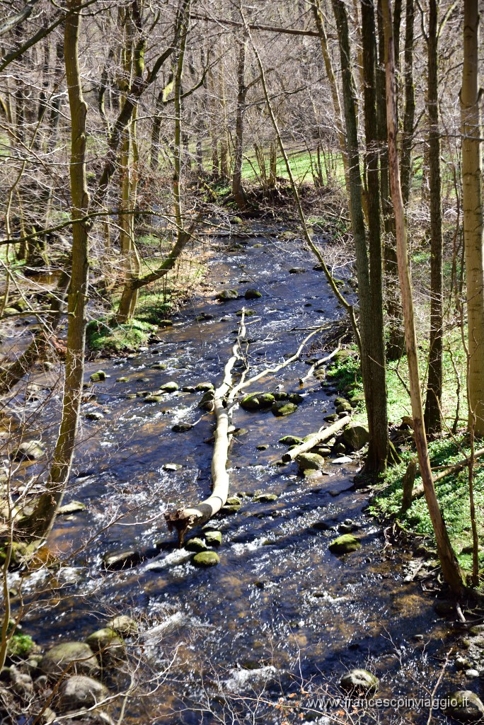 DSC_1824.JPG