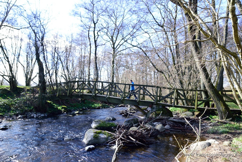 DSC_1839.JPG