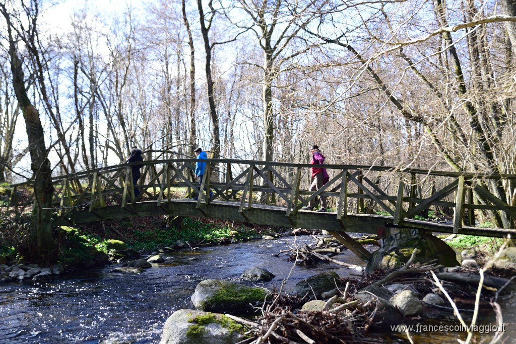 DSC_1842.JPG