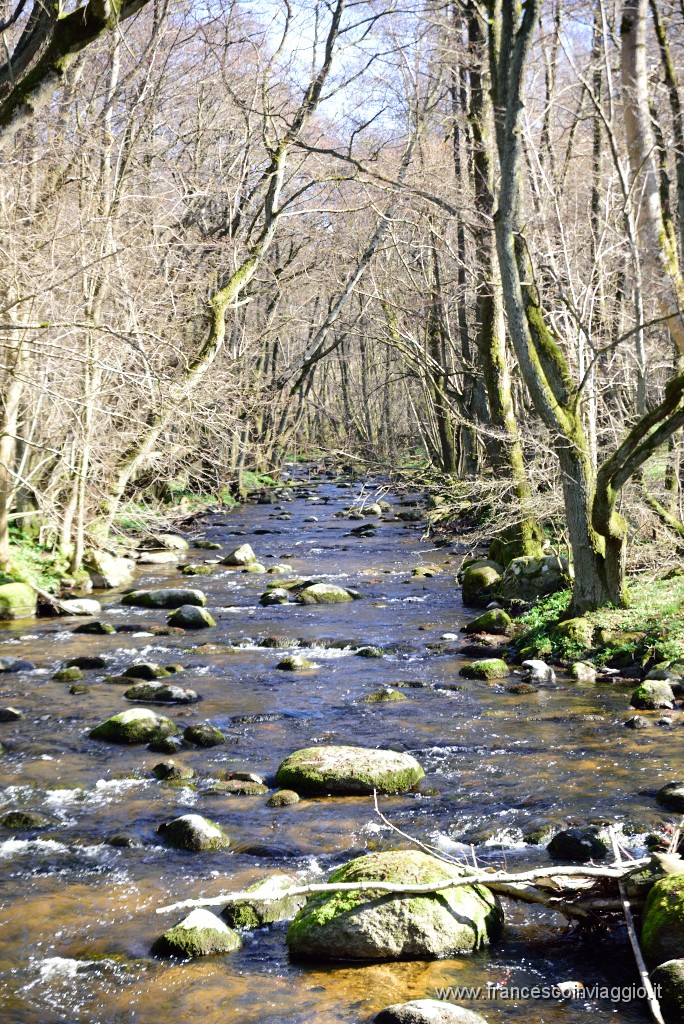 DSC_1848.JPG
