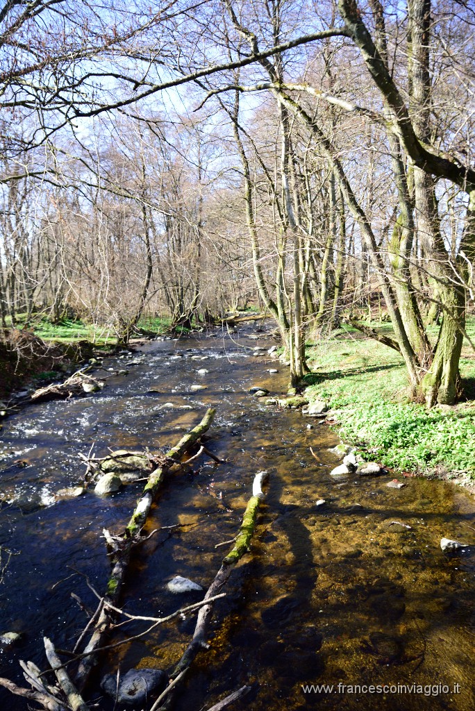 DSC_1849.JPG