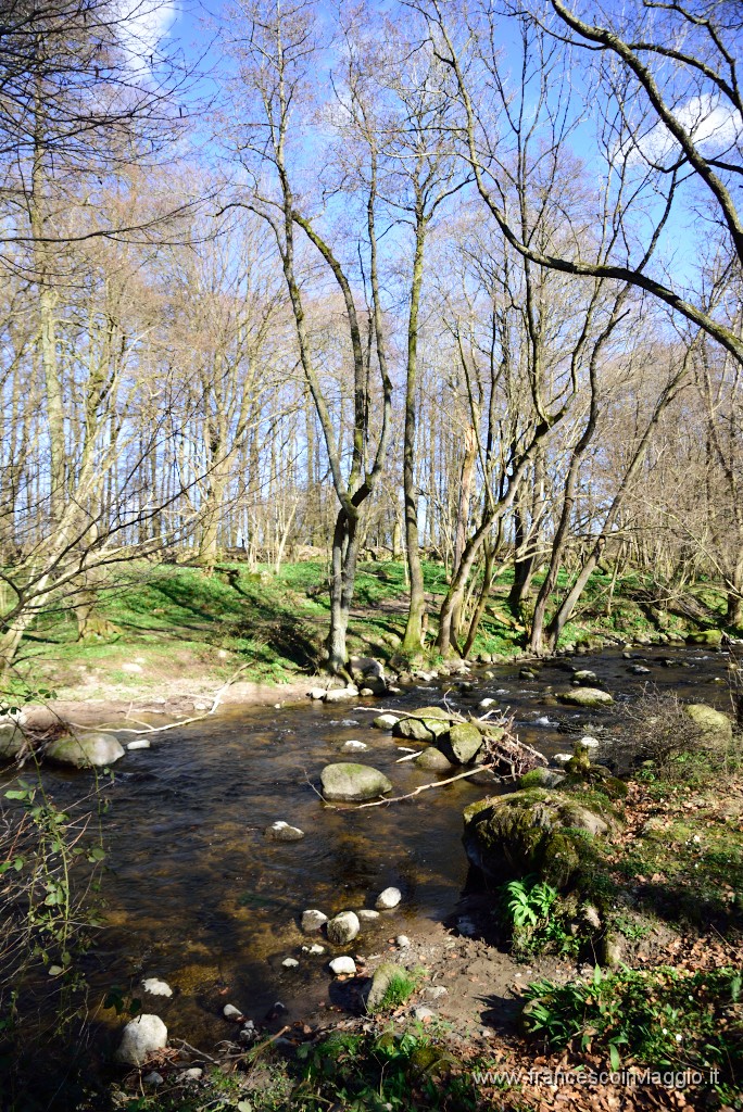 DSC_1851.JPG