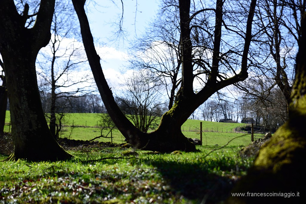 DSC_1854.JPG