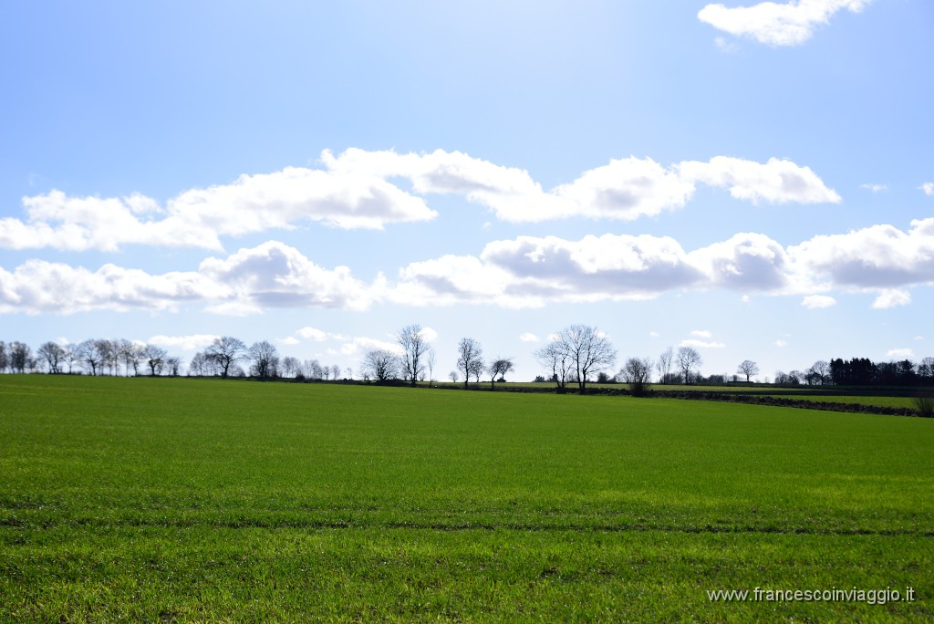 DSC_1887.JPG