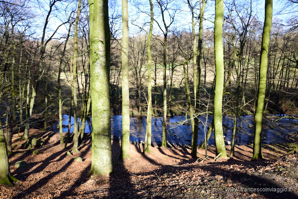 DSC_1897.JPG