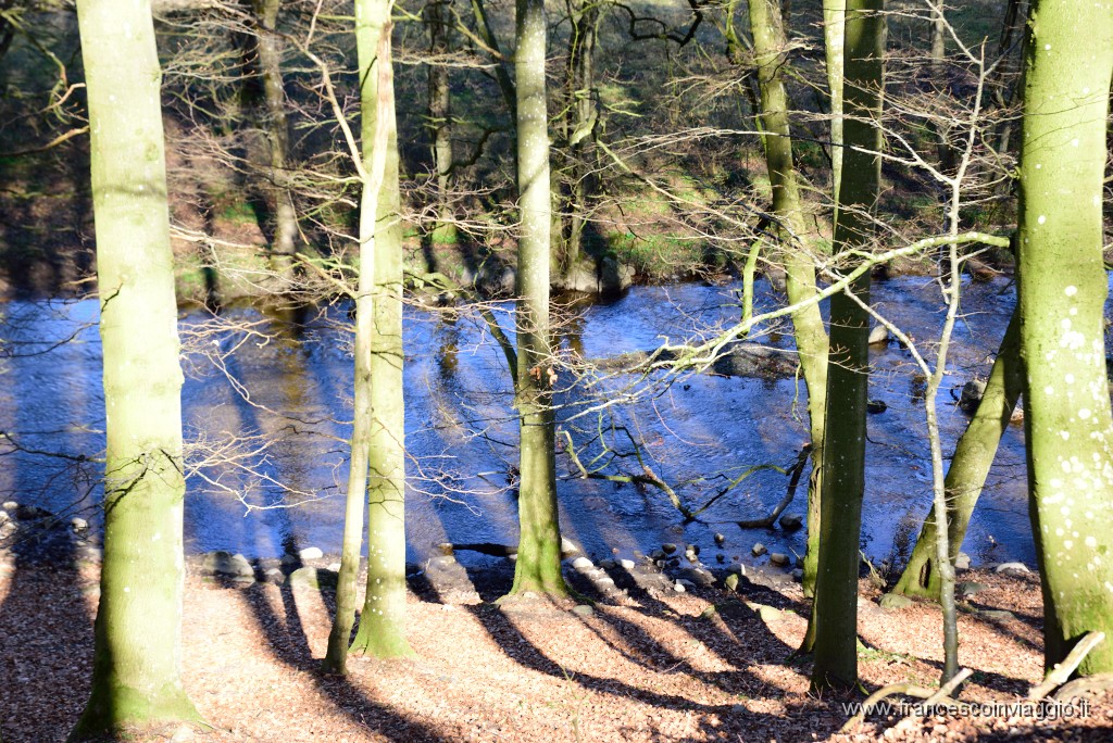 DSC_1898.JPG