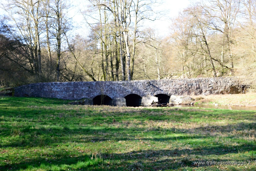 DSC_1905.JPG