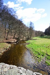 DSC_1691